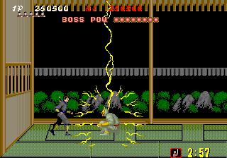 13 Shinobi