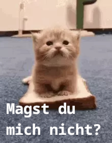 cat2